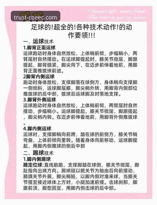 中欧体育可靠吗 中欧体育平台实用评测指南:从技术角度解析其可靠性